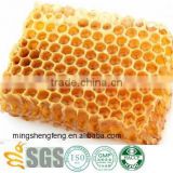 Best natural honey comb with plastic box/ pure honey bee edible/ raw agricultural suppliers