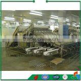 Seafood Processing Shrimp Grading Machine thumbnail-5
