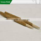 Agricultural Plant Support thumbnail-2