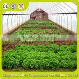 Good Quality Low Cost Agricultural Greenhouse Plastic Stretch Film thumbnail-1