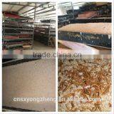 2.8 cm Microwave Dried Canary Brid Food Mealworms thumbnail-3