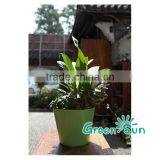 Flower Pot Carry Tray thumbnail-3