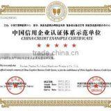 Credit Example Certificate