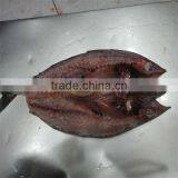 New Season Frozen Mackerel(cut) thumbnail-1