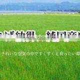 Japanese TATAMI Mats Made in Japan Made of Rush Grass IGUSA for Wholesaler thumbnail-5