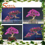 Artificial Plant Flower Mini Artificial Topiary Flower Table Decoration Artificial Plant Flower thumbnail-1