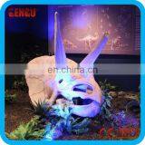 Museum Standard Triceratops Skull Skeleton Fossils