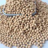 5A Molecular Sieve