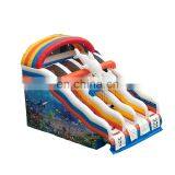 Dolphin Inflatable Water Slides For Above Ground Swimming Pool, Commercial 30ft Inflatable Slide For Water Park thumbnail-4