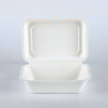 New Hot Disposable Biodegradable 350ML Bagasse Food Box Take Away Sugarcane Container