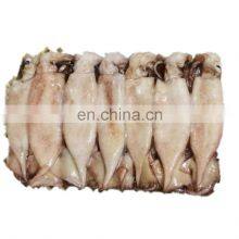 Hot Sale Frozen Small Size Squid Block for Fishing Bait