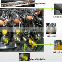 Fully Automatic Powder Egg Production Line thumbnail-3