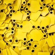 Paddle RFID FDX-B Available Ear Tag for Cattle Middle Size for Livestock Tracking thumbnail-4