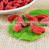 Super Goji for Health and Beauty With Organic