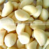Automaticaly garlic peeling machine