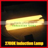 300W 2700K Plant Grow Light/Induction Lamp/Electrodeless Discharge Lamp/
