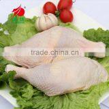 Chicken Thighs Big Chicken Leg