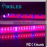 Wholesale High Quality LED Grow Light Greenhouse Garden Grow T8 Grow LED Light thumbnail-6
