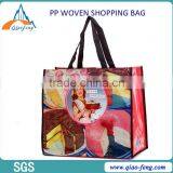 Factory Cheap Price Laminated Shopping pp Woven Bag