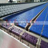 Production Accumulation LBP Conveyor System Line thumbnail-4