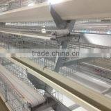 Chicken Poultry Layer Farming Equipment thumbnail-1