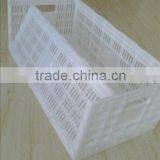Plastic Fold Egg Storage Container thumbnail-3