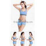 Quick-dry Sports Bra Set Shakeproof Ladies Running Fitness Vest Wireless Running Bra Yoga Sport Bra Sexy Womens Tracksuits Set thumbnail-3