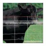 Cattle Sheep Annimal Fence/field Fence (manufacture) thumbnail-3