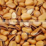 pine nuts for sale new crop