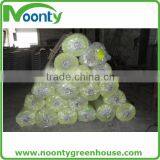 Greenhouse Film thumbnail-2