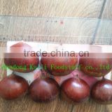Sweety fresh chinese chestnuts
