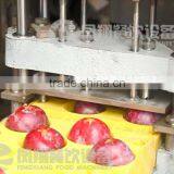 High Quality Plum Stoner, Plum Pitter, Plum Corer With CE Certificated thumbnail-5