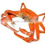 Chinese Made Cosmetic Grade Chitosan thumbnail-5