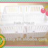 Plastic Transporting /easy Move Chicks Box /basket for Poultry thumbnail-1