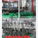 BCGF1818-6 Model 3 in 1 Glass Bottle Carbonated Filling Machine Price thumbnail-4
