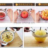 Easy to Use 18/8 Stainless Steel and Zinc Alloy Fruit Corer thumbnail-4