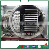 Sanshon FDG Quick Freeze Drying for Vegetable Industrial Product