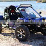 1100cc Chery Engine Dune Buggy 2 Seater Quad for Sale thumbnail-1
