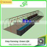 Plastic Covered Tunnels Greenhouses thumbnail-3
