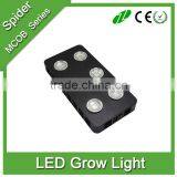 540W High Power COB Led Grow Light for Plant Grow Light 380nm-840nm (Full Spectrum)