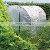 Polytunn Garden Grow House thumbnail-1