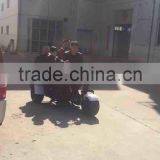 2017 Mini Citycoco 18*9.5 Inch 3 Pneumatic Wheels Electric City Scooter City Coco Motor Cycle With 3 Seats thumbnail-5