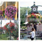 Plastic Hanging Basket Hanging Flower Pot With Chain thumbnail-1
