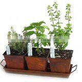 Copper Trio Planter Kit, Copper Growing Planters, Copper Herb Planter thumbnail-1