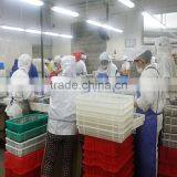 Seafrozen W/R Pacific Mackerel Fish Size 300-500 thumbnail-4