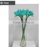 Cheap Wholesale Large Amaryllis for Halloween Arrangement thumbnail-3