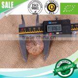 Natural Fermented Solo Black Garlic Seeds thumbnail-1