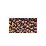 Sell Roasted Chestnut thumbnail-1