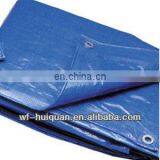 Kodiak Canopy Tarp Cover