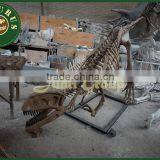 Lisaurus I Dinosaur Skull Puzzle for Sale Made in China High Quality Raptor Dinosaur Skeleton Model thumbnail-3